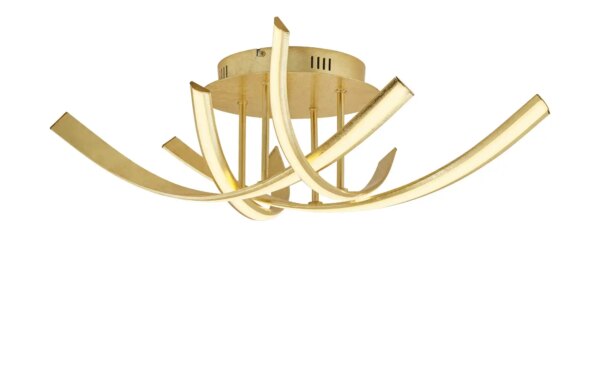Paul Neuhaus LED-Deckenleuchten