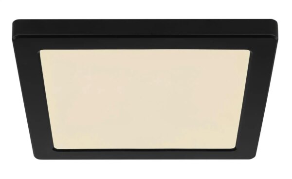 Deckenleuchte - schwarz - Maße (cm): B: 21